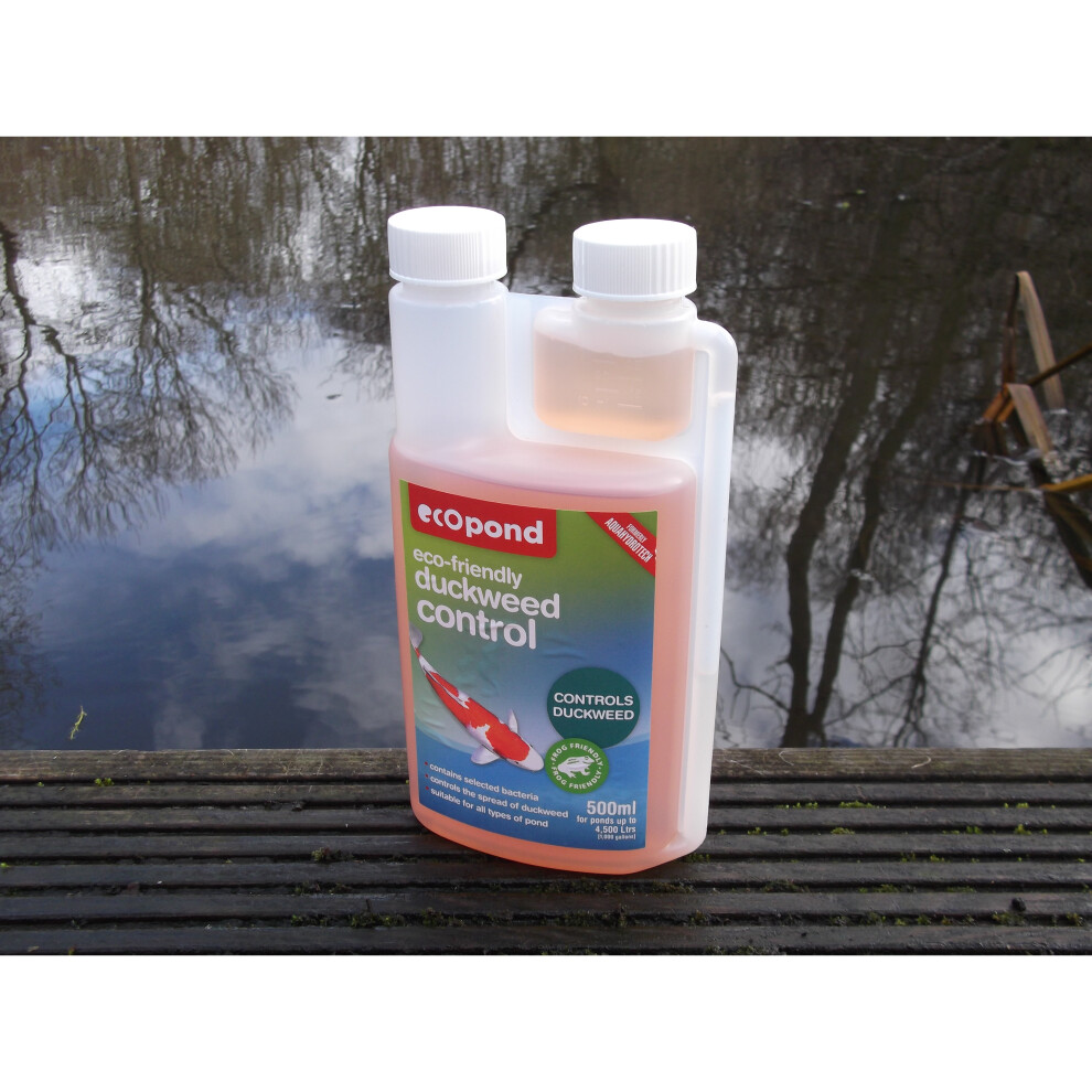 Duckweed Control