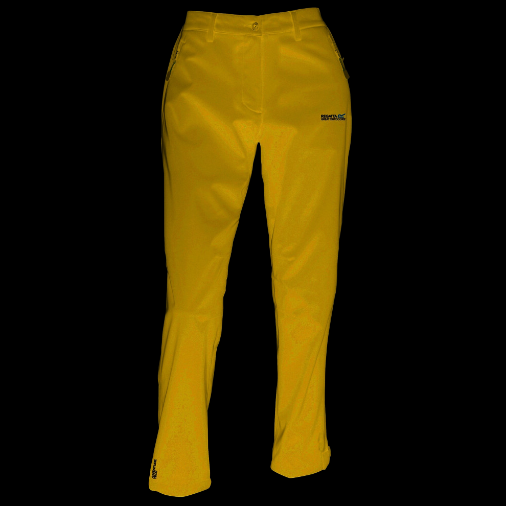 (8, Black) Regatta Great Outdoors Womens/Ladies Geo Softshell II Regular Leg Trousers