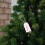 Samuel Alexander 7ft Samuel Alexander Luxury Green Christmas Tree - 210 x 137cm 5