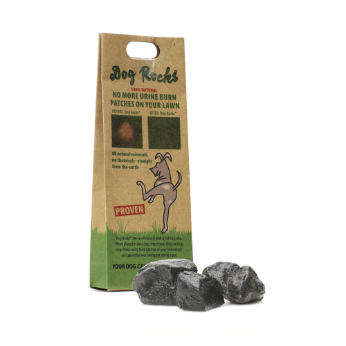 VidaXL Dog Rocks Lawn Burn Prevention