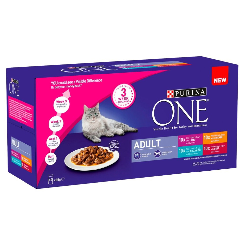 Purina ONE Adult Cat Mini Fillets in Gravy Wet Food - 40 x 85g - Image 16