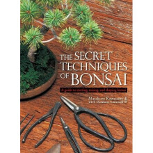 The Secret Techniques Of Bonsai