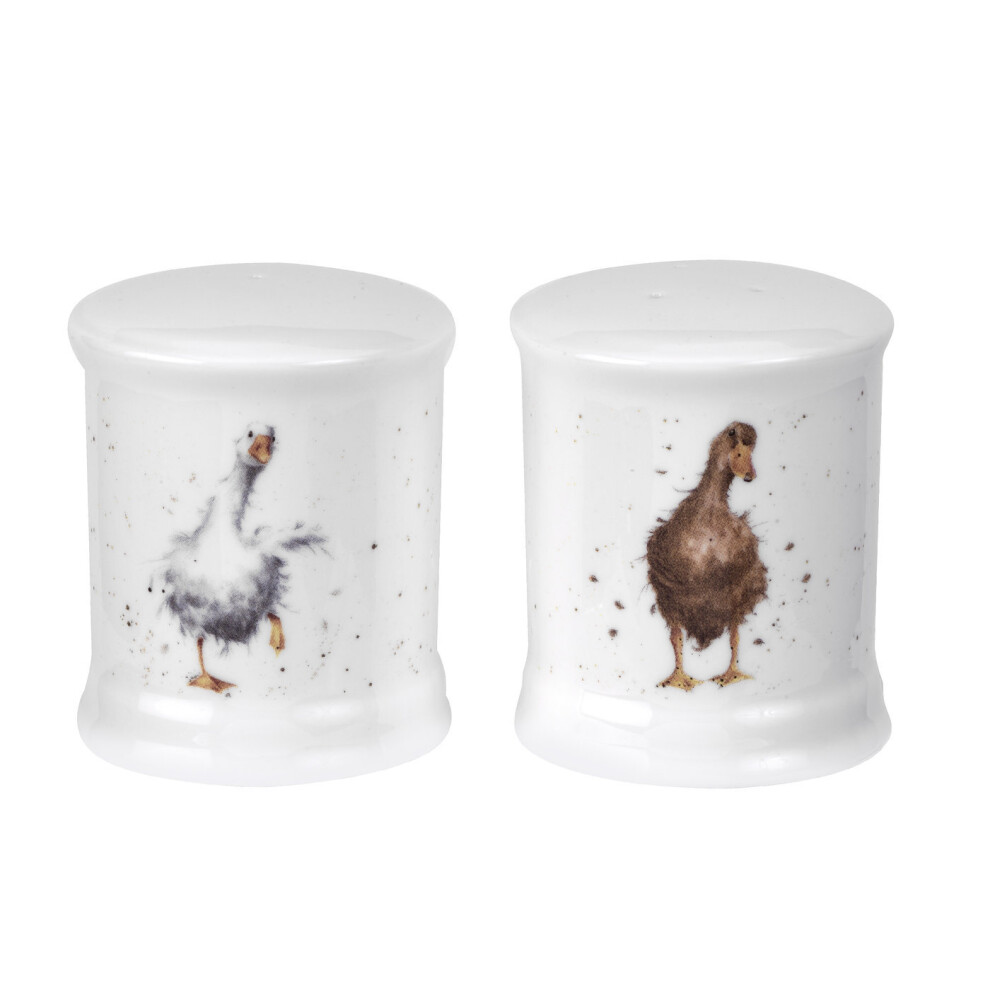 Wrendale Designs Salt & Pepper Shakers, Ducks