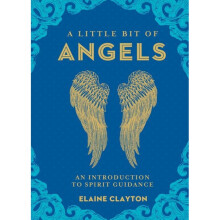 A little Bit of Angels Book - Elaine Clayton