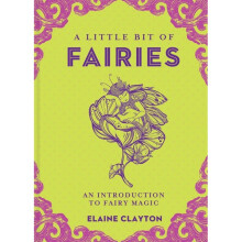A Little Bit of Fairies Book - Elaine Clayton