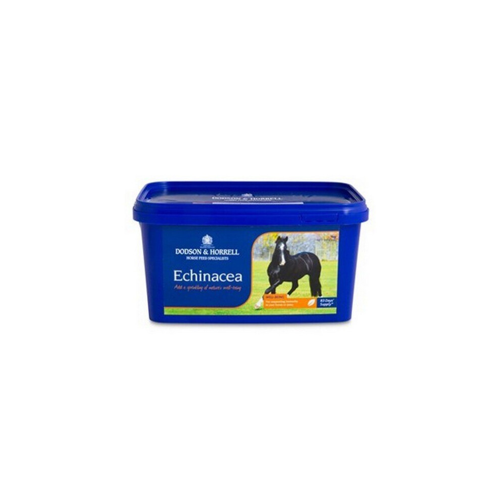 Dodson & Horrell Echinacea Horse Supplement Small