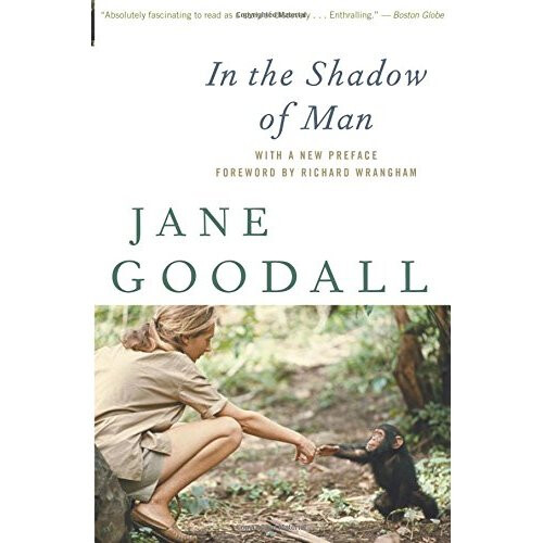 In the Shadow of Man
