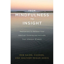 From Mindfulness to Insight: Meditations to Release Your Habitual Thinking and Activate Your Inherent Wisdom