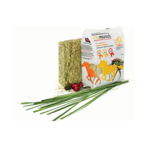 Equilibrium Vitamunch Hedgerow Horse Treat (5 Packs)