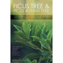 Ficus Tree and Ficus Bonsai Tree - The Complete Guide to Growing, Pruning and Caring for Ficus