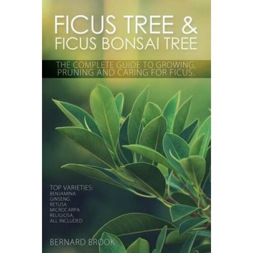 Ficus Tree and Ficus Bonsai Tree - The Complete Guide to Growing, Pruning and Caring for Ficus