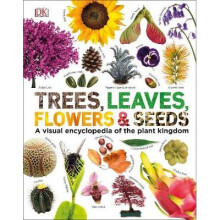 Trees, Leaves, Flowers & Seeds: A visual encyclopedia of the plant kingdom