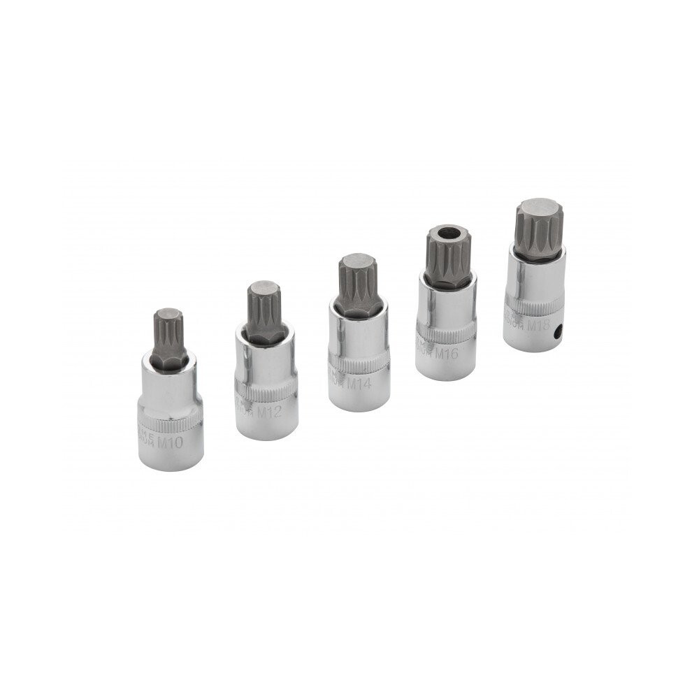 BlueSpot 5pce 1/2" Spline Bit Set M10, 12, 14, 16 & M18, 01509