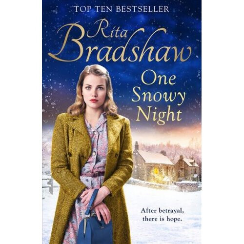 One Snowy Night