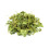 Fenugreek Leaves - 50g 1