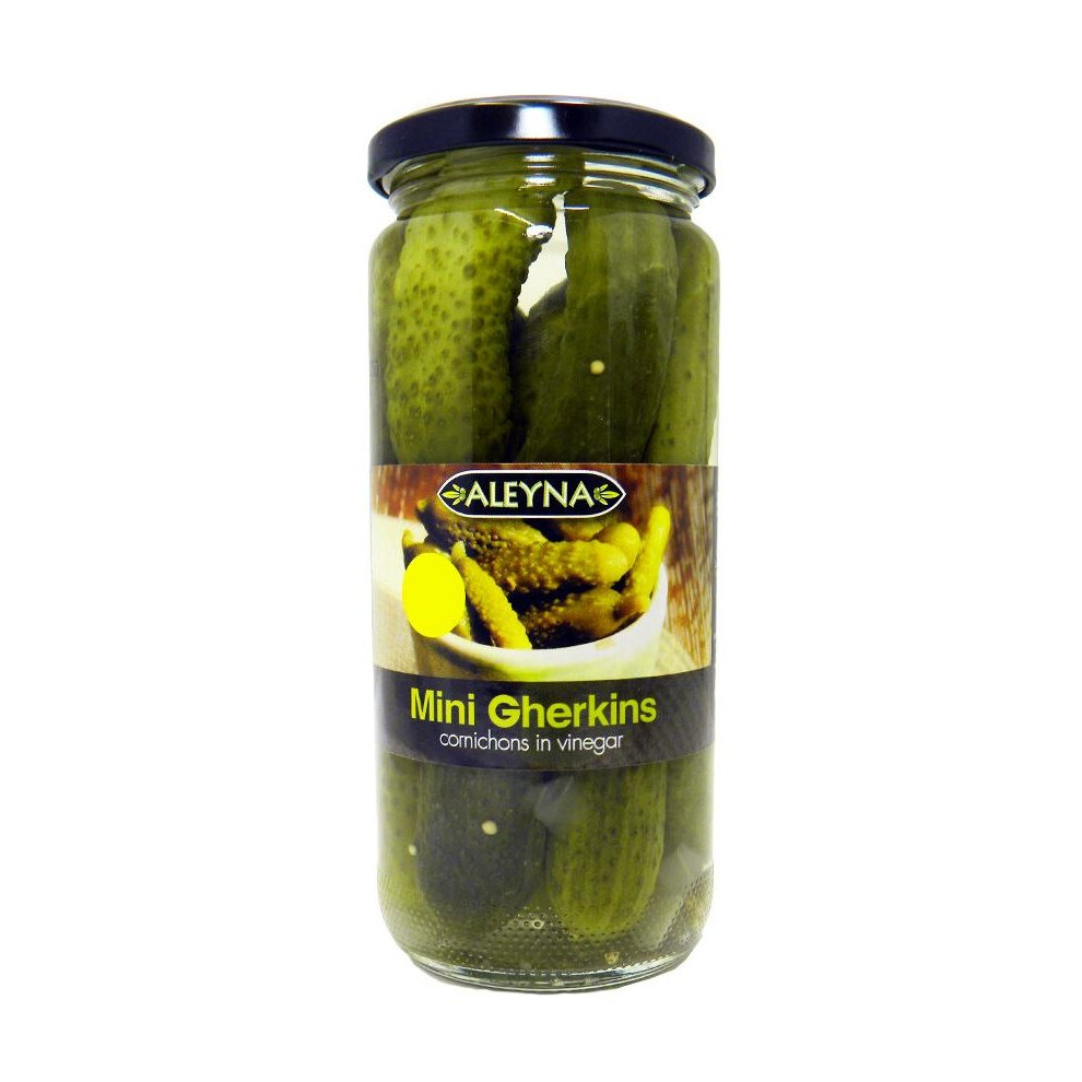 Aleyna - Mini Gherkins - 500g (Pack of 2)