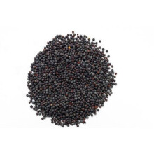Black Mustard Seeds - 1kg