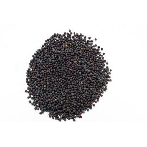 Black Mustard Seeds - 1kg