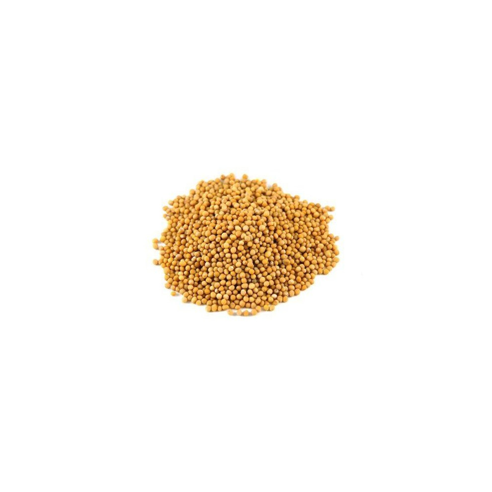 Jalpur Mustard Seeds - 200G Yellow