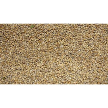Jalpur - Whole Millet Seeds (Bajri Whole) - 2kg