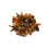100g | WHOLE STAR ANISE 1