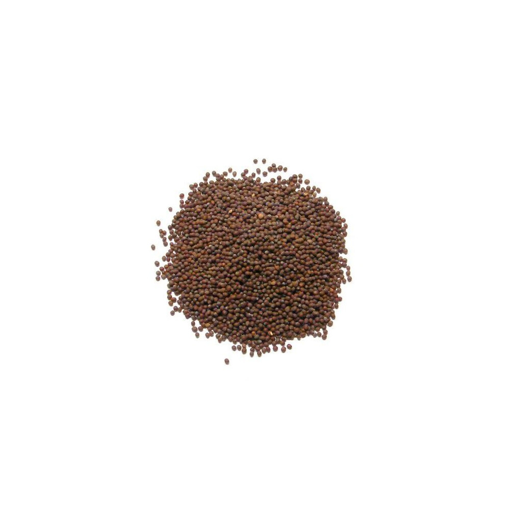 Jalpur Mustard Seeds ( Rai) - 200G Brown