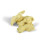 Ginger Whole 100g 1