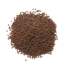Brown Mustard Seeds - 1.5kg