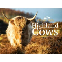 Villager Jim's Highland Cows