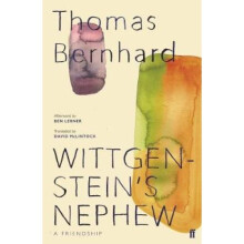 Wittgenstein's Nephew