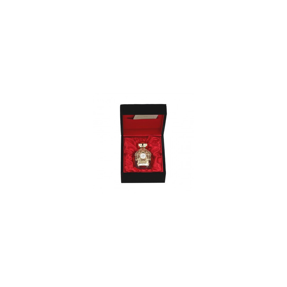 Tiziana Terenzi Adhil Assoluto Extrait de parfum 100 ml (unisex)