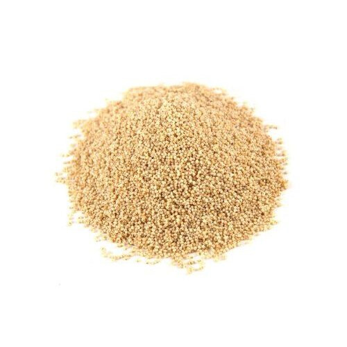 Poppy Seeds (white) - 100g