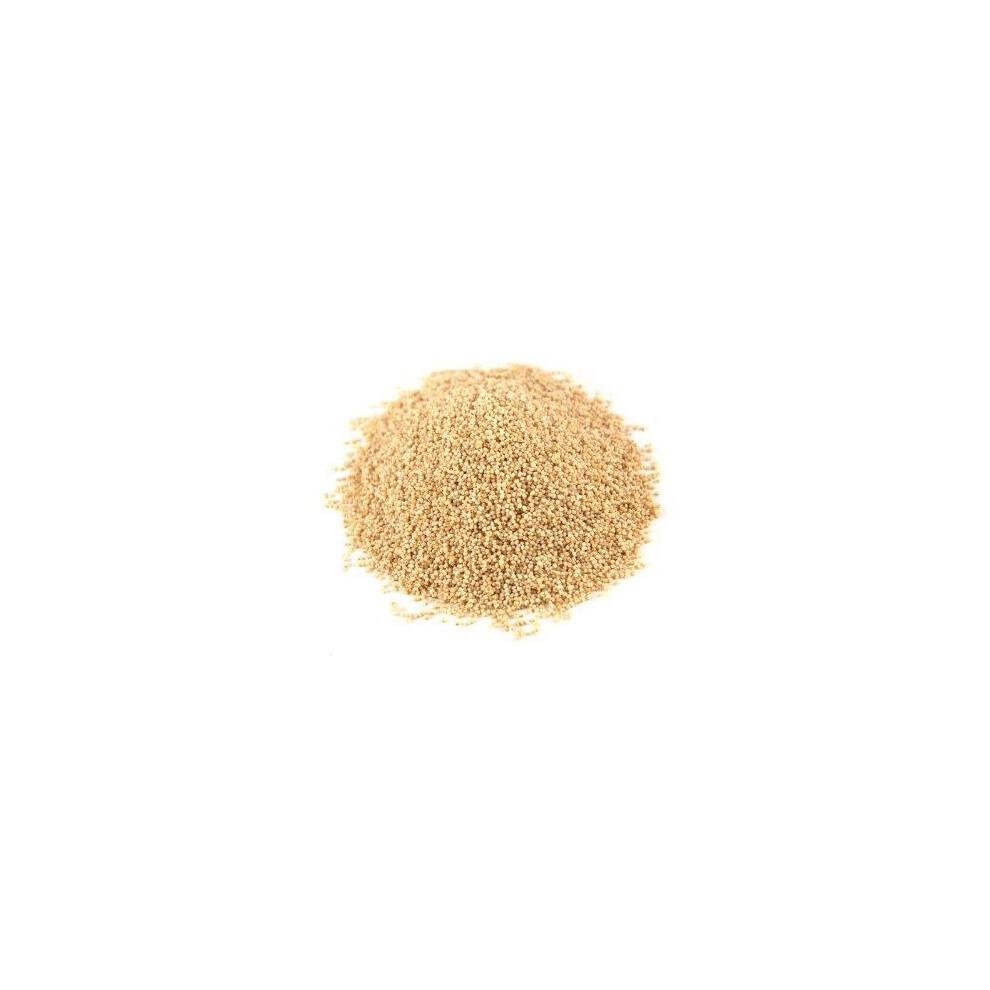 Poppy Seeds (white) - 100g