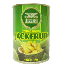 Heera - Young Green Jackfruit in Brine - 482g (pack of 4)
