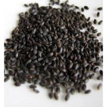 Basil Seeds - 100g