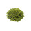 Moong Beans Whole Big 1kg 1