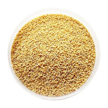 Foxtail Millet Seeds - 1kg