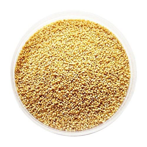 Foxtail Millet Seeds - 1kg