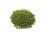 Moong Beans Whole (Small) - 1.5kg 1