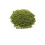 Moong Beans Whole Small 500g 1