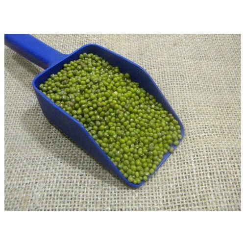 Green Mung Beans (small) - 300g