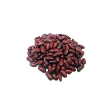 Red Kidney Beans 100g