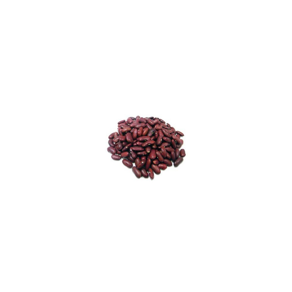 Red Kidney Beans 100g