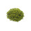 Moong Beans Whole (Big) - 1.5kg 1