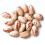 Rosecoco Beans / Crab Eye Beans - 1.5kg 1
