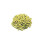 Bitter Neavy Beans (Vall Kadwa) 200g 1