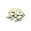 Butter Beans - 1.5kg 1