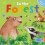 In the Forest 1