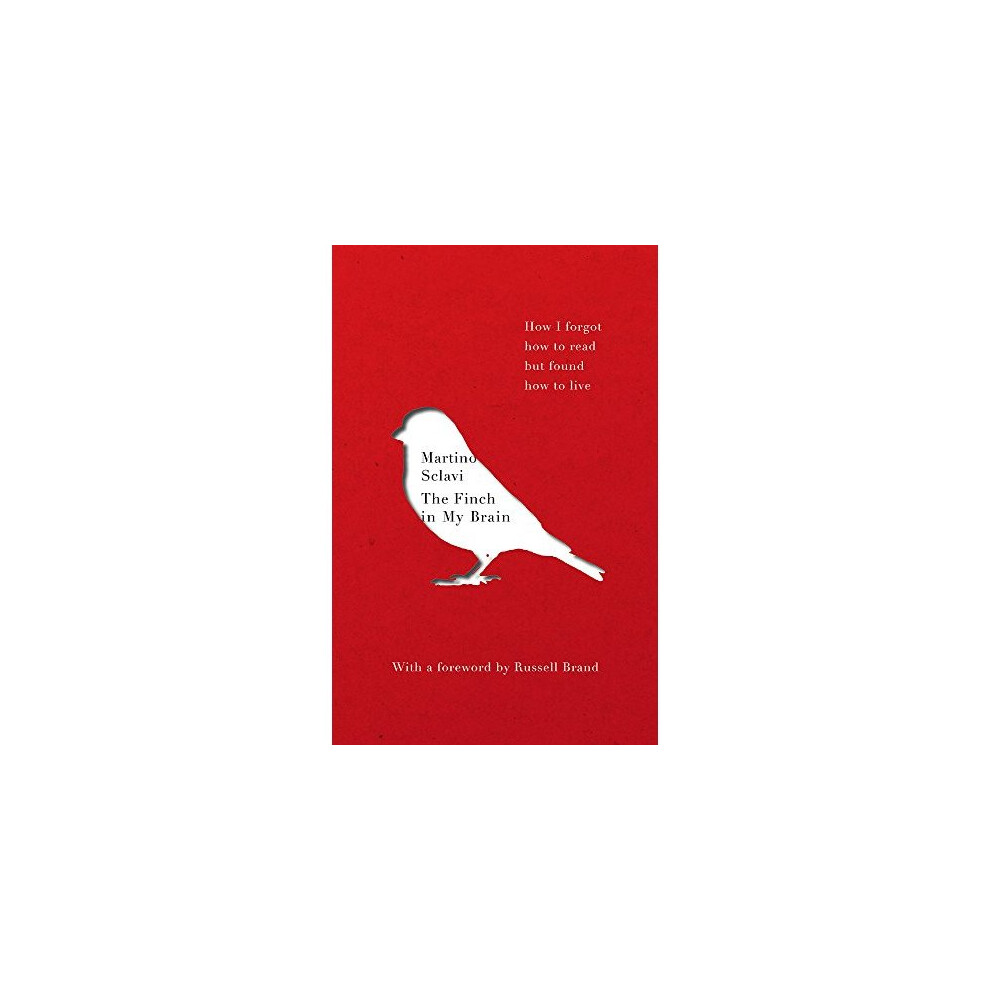 The Finch in My Brain by Martino Sclavi PAPERBACK - Image 3