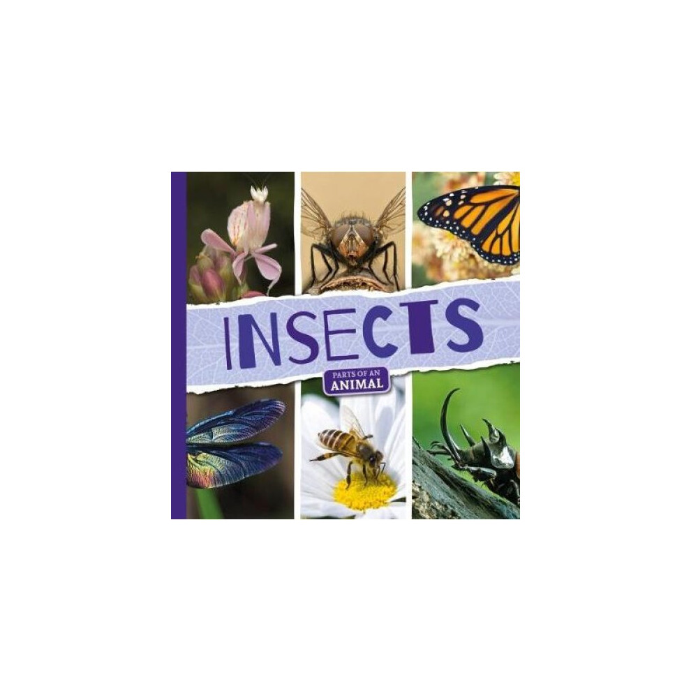 Insects